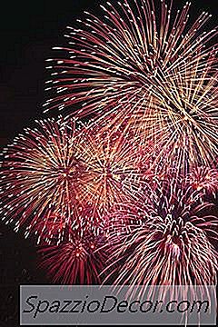 Засягат Ли Силните Шумове Котките?