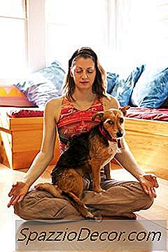 Werken Feromoonsprays Aan Kalme Honden?