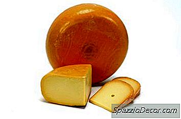 ¿Afecta El Queso A Los Gatos?