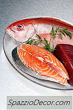 Dar Salmão Ou Atum A