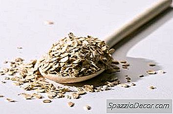 Champú De Avena Casero Para Perros