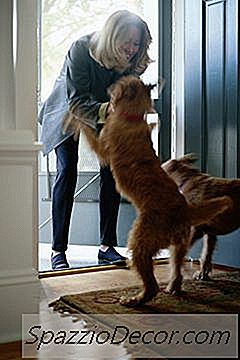 Bir Köpek Mutlu Olduğunda Peeing Nasıl Durdurabilirsiniz?