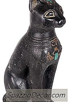 Jak Koty Wpłynęły Na Kulturę Egipską?