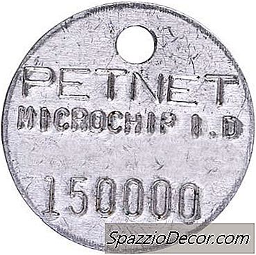 Wie Viel Kostet Ein Hund Mit Einem Mikrochip?