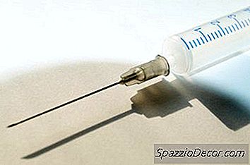 Vaccinationer Ger Kritiska Skydd För Husdjur.