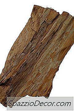 Como Anexar Musgo De Aquário A Driftwood