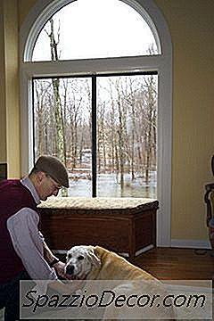 Como Projetar Uma Sala De Cachorro Em Minha Casa