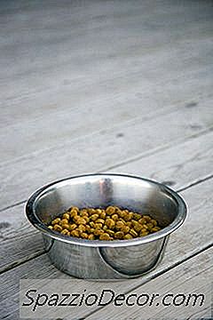 Comment Déterminer Si La Nourriture Pour Chien Est Rance?