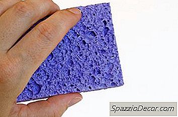 Pentru A Scăpa De Petele Galbene De La Vânătoare De Pisici