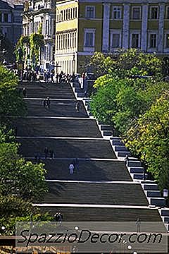 남자 오데사의 미늘을 밝히는 방법