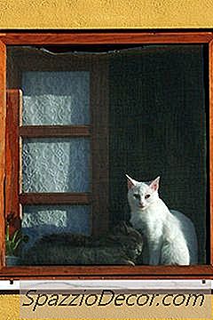 Cómo Hacer Una Percha De Ventana Cat Sin Tornillos