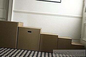 Hvordan Man Laver En Katte Og Hundespil Tunnel