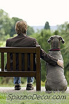 Како Направити Пса Да Престане Да Гунђа Код Једне Конкретне Особе