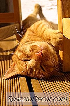Como Fazer Um Kitty Condo A Partir De Caixas De Papelão