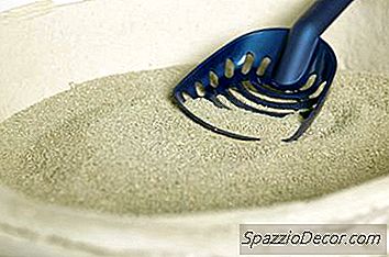 猫のトイレ砂を正しく処理する方法