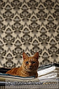 洗濯から猫の髪を削除する方法