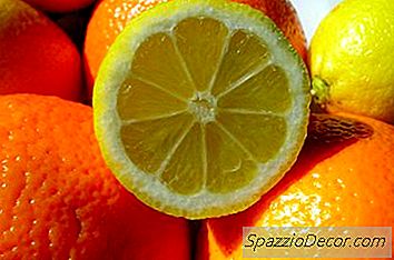 Katten Afweren Met Citrus