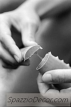 Er Aloe Gel Eitrað Fyrir Hunda?