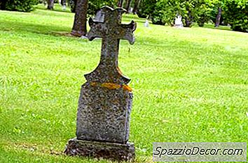 Ist Es Gegen Das Gesetz, Einen Hund In Ihrem Hof Zu Begraben?