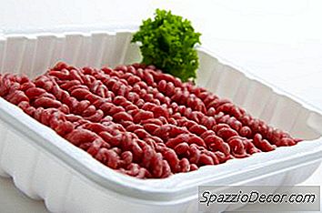 ¿Está Bien Que Los Gatos Coman Carne Picada?