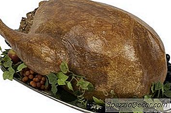 Is Thanksgiving Turkije Goed Of Slecht Voor Katten?