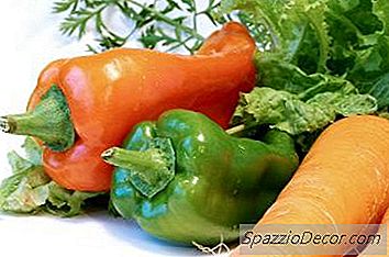 Lista De Frutas Y Verduras Los Perros Pueden Comer