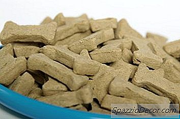 Maple Dog Treat Recept