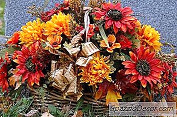 Enterro Apropriado Do Animal De Estimação Da Família