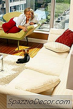 Caixas De Areia Para Cachorros / Pastilhas De Grama