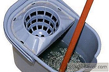 Detergenti Per Pavimenti Sicuri Per Cani