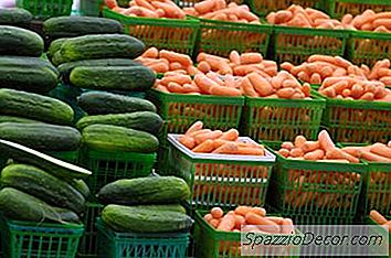 Frutas Y Verduras Seguras Para Perros