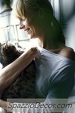 Anzeichen Und Symptome Einer Trauernden Mutter Katze