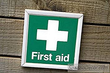 Unguent Triplă Antibiotic Pe Câini