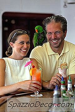 Aves Muy Pequeñas Que Les Va Bien En Cautiverio