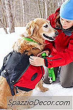 Gewichtete Westen Für Hunde