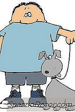 Quali Sono I Pericoli Di Un Collare Da Urto Per Cani?