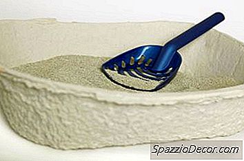 Welke Oorzaken Klonteren Kattenbakvulling Tegen Elkaar?