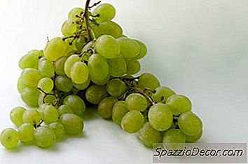 O Que Acontece Se O Seu Chihuahua Come Passas E Uvas?