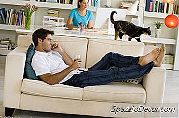 Cosa È Cat Dander E1?