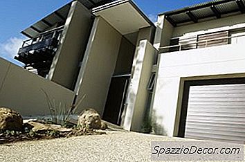 Wanneer Groeit Een Amerikaanse Bulldog Uit?