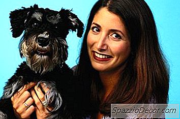 Wird Ein Schnauzerstall?