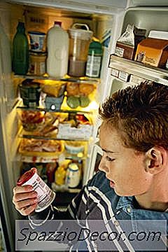 Yoghurt Til Hunde