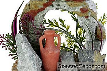 Blågrønne Alger På Kunstige Planter I Akvarier