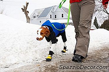 Stivaletti Antiscivolo Fai Da Te Per Cani