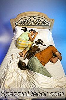 Hunde, Die Mit Leuten Auf Ihren Betten Schlafen