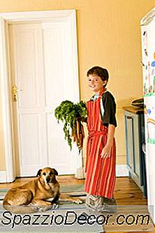 Dietas Caseiras De Alimentos Para Cães