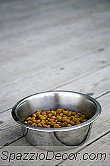 Comida Caseira Para Ir Com Kibble