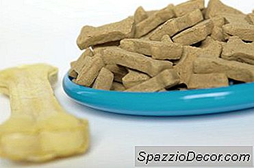 Câine De Casă Tratat Cu Lapte Praf