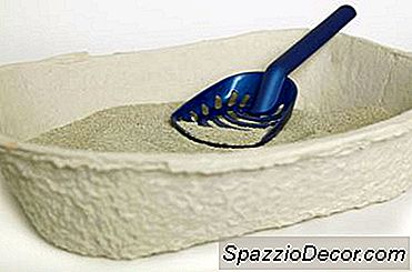 乾燥した塊の猫のトイレ砂をきれいにする方法