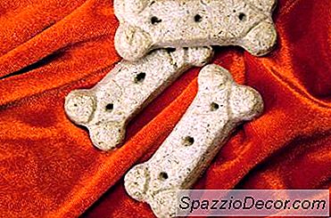 Wie Man Ein Papillon In Der Kiste Trainiert